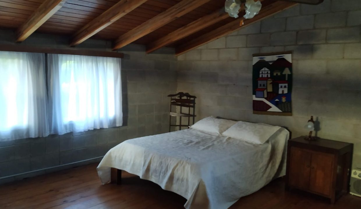 4 HAS ANISACATE CASA DORMIS ARROYO (8)