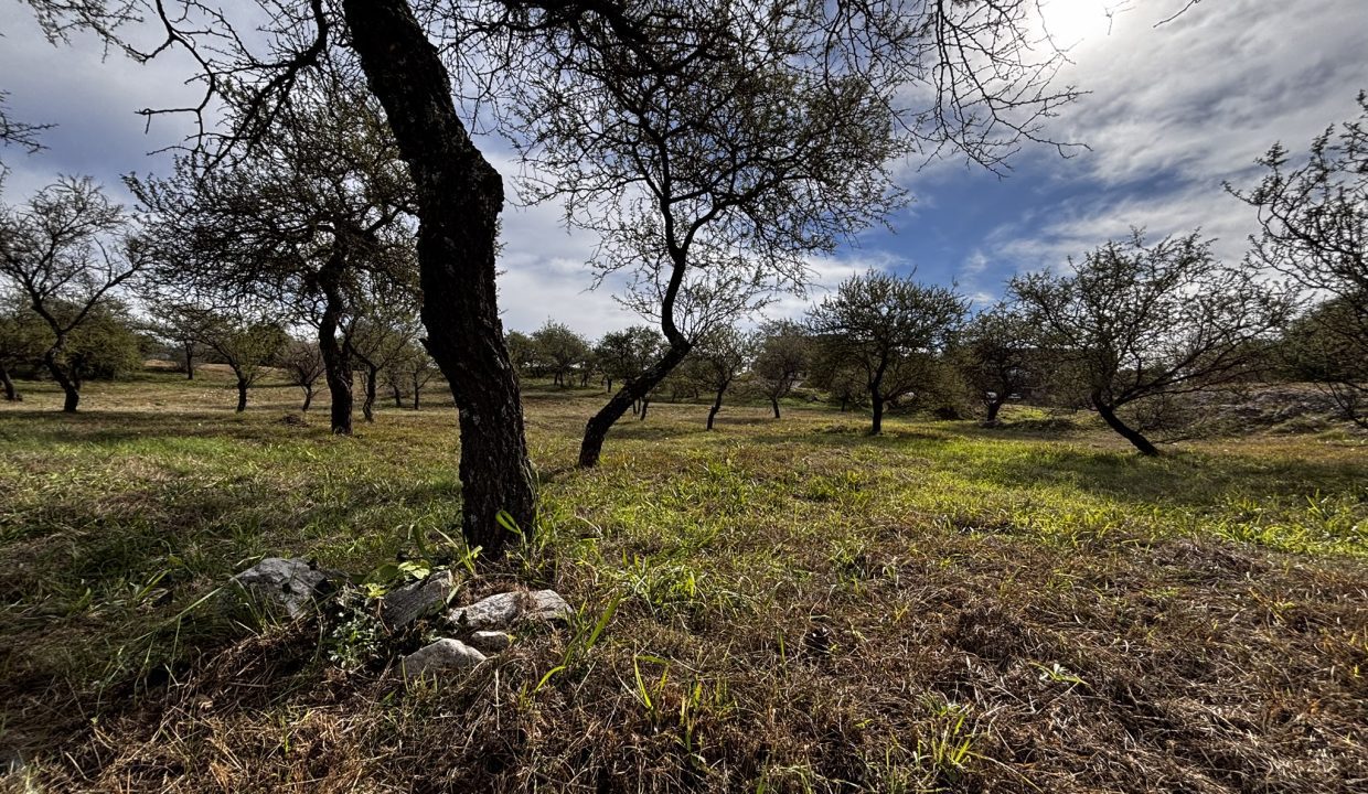 LOTE ALTA GRACIA GOLF CON FRENTE A DOS CALLES (1)