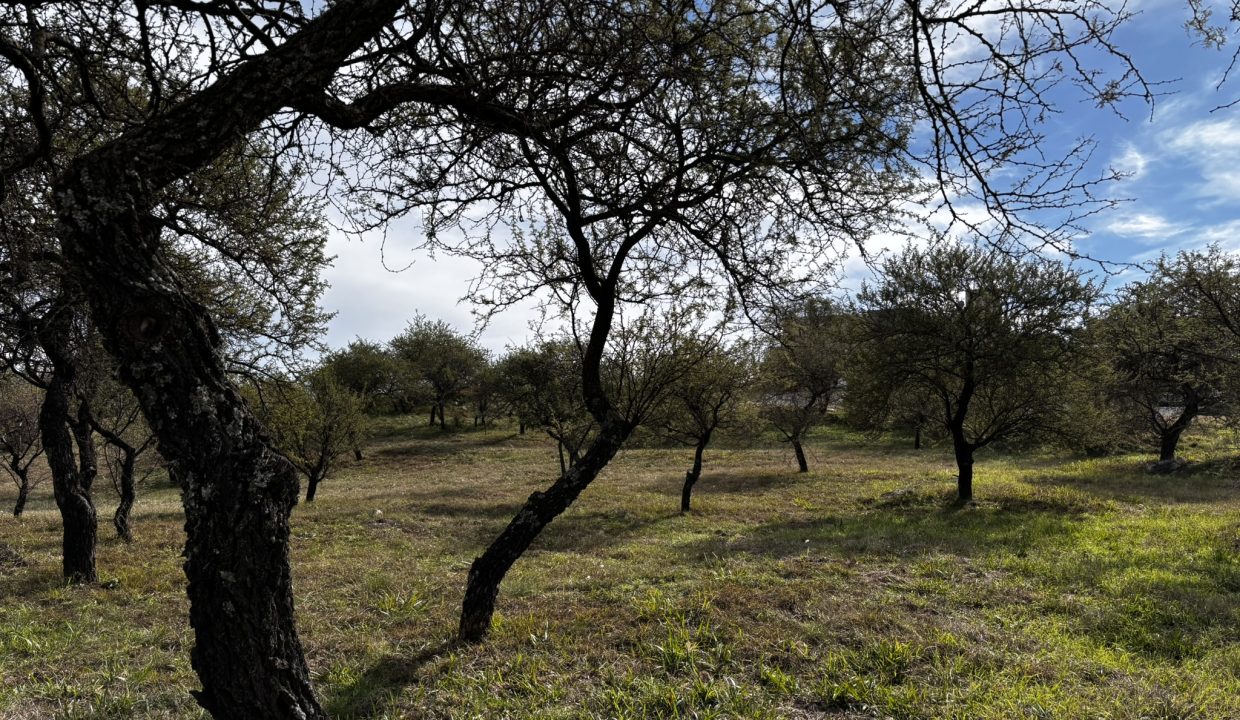 LOTE ALTA GRACIA GOLF CON FRENTE A DOS CALLES (10)