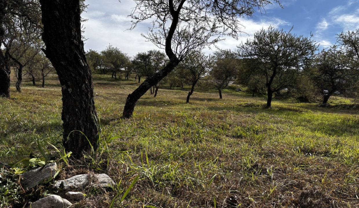 LOTE ALTA GRACIA GOLF CON FRENTE A DOS CALLES (11)