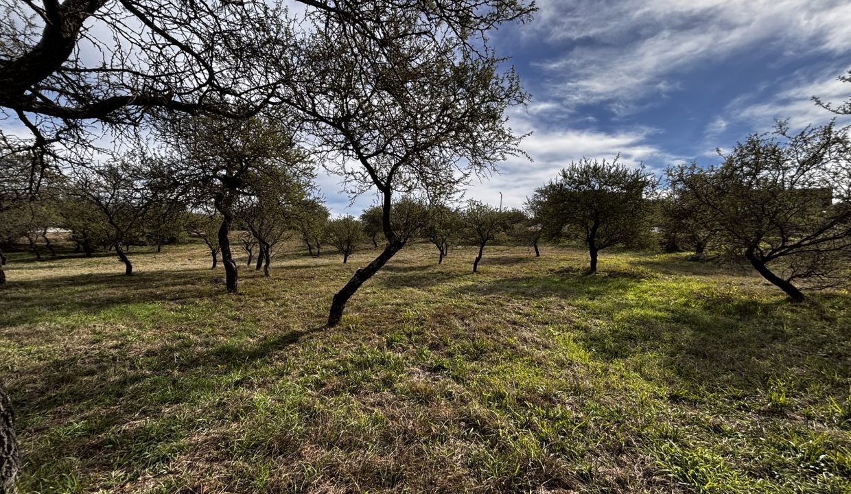 LOTE ALTA GRACIA GOLF CON FRENTE A DOS CALLES (2)