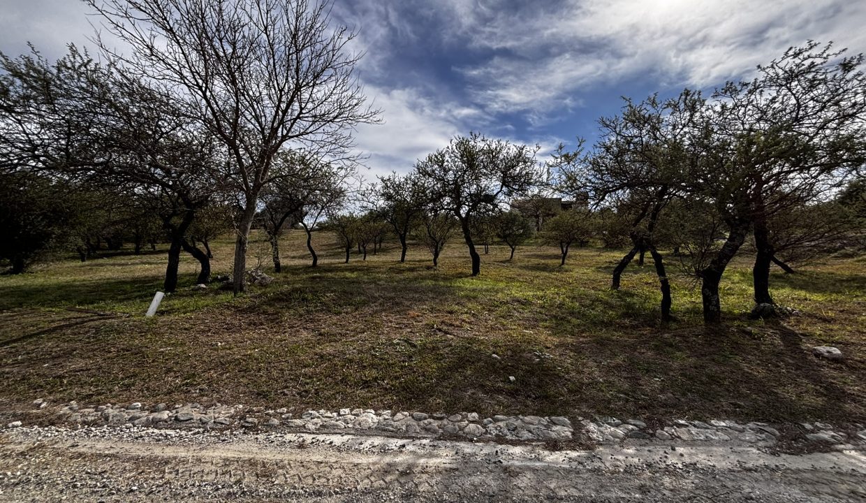 LOTE ALTA GRACIA GOLF CON FRENTE A DOS CALLES (8)
