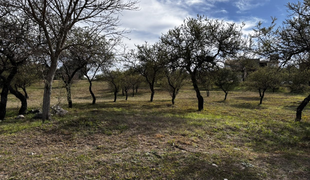 LOTE ALTA GRACIA GOLF CON FRENTE A DOS CALLES (9)