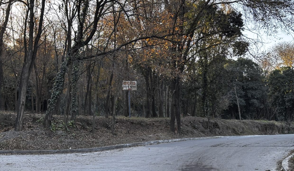 LOTE ZONA GOLF-ARROYO -ALTA GRACIA (4)