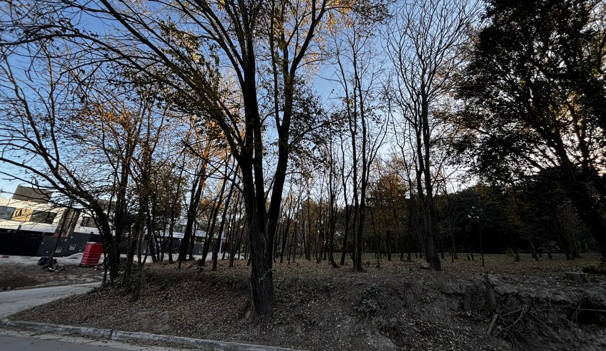 LOTE ZONA GOLF-ARROYO -ALTA GRACIA (6)