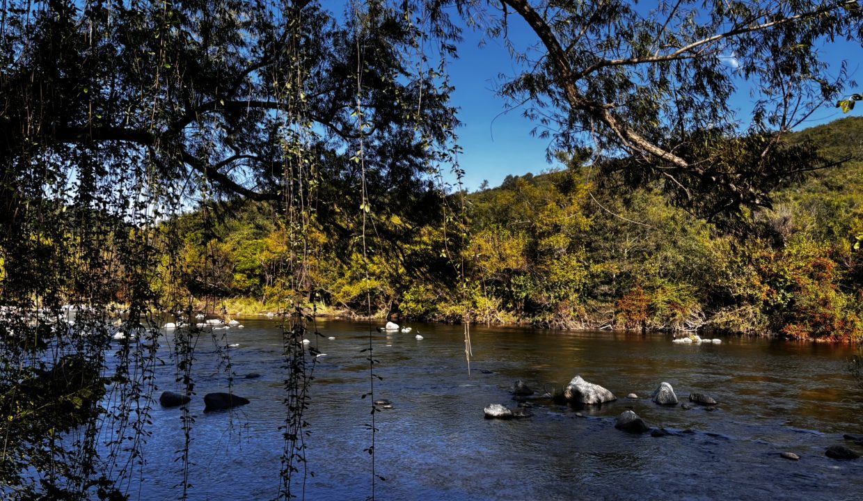 VENTA LA PAISANITA (1)