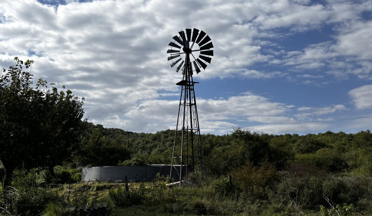 VENTA LA PAISANITA (19)