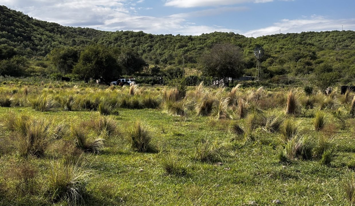 VENTA LA PAISANITA (25)