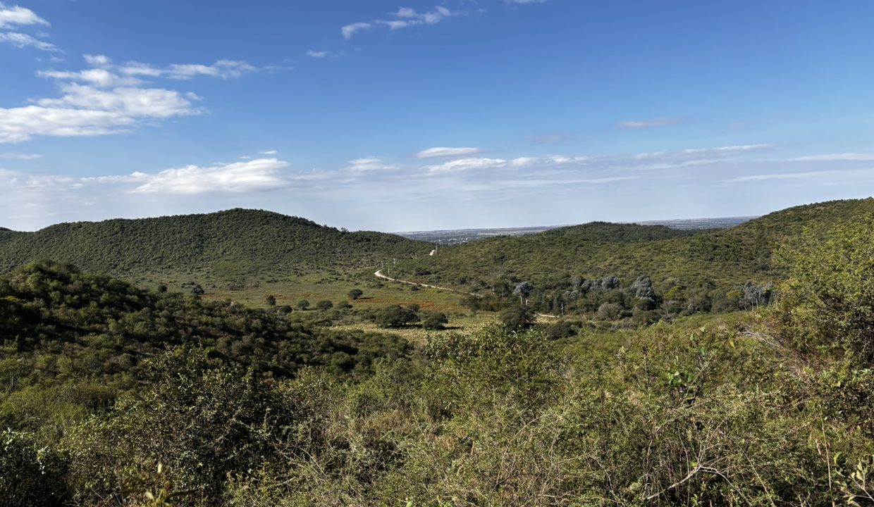 VENTA LA PAISANITA (28)