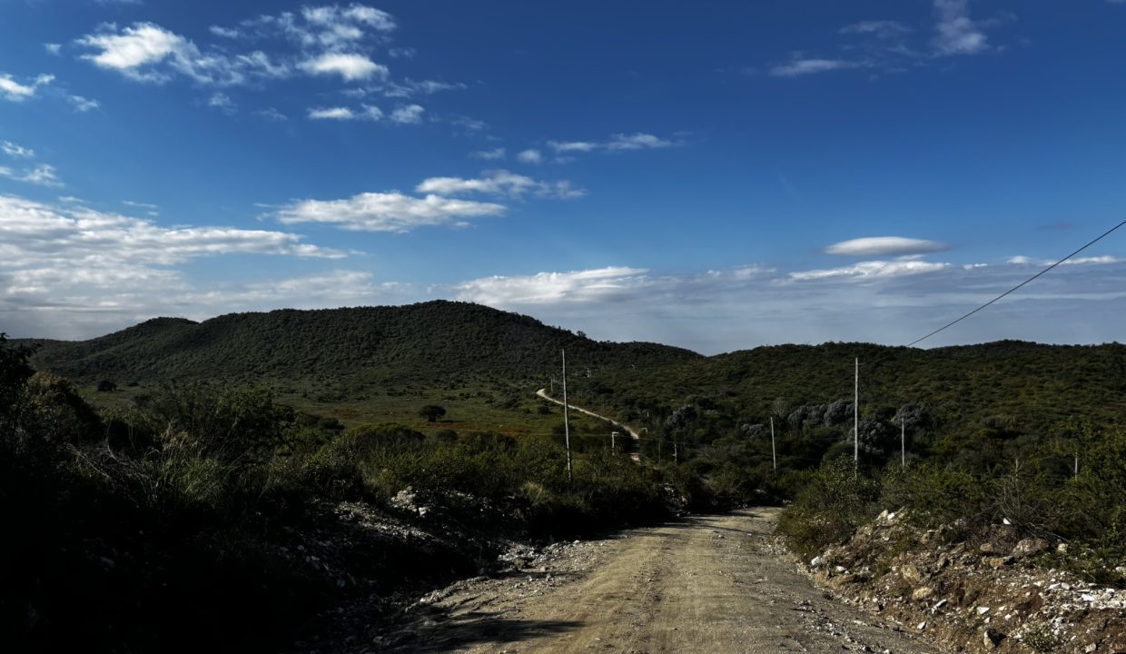 VENTA LA PAISANITA (29)