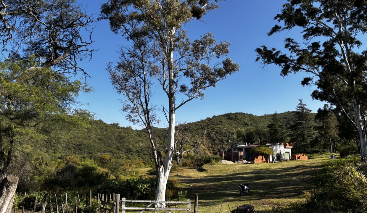 VENTA LA PAISANITA (32)