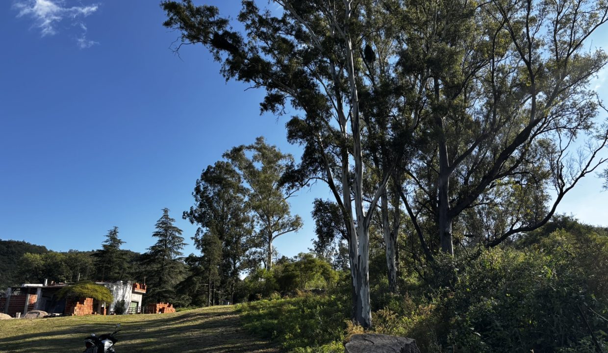 VENTA LA PAISANITA (34)