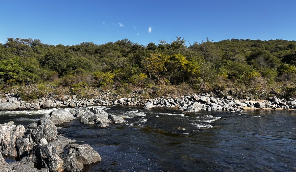 VENTA LA PAISANITA (44)