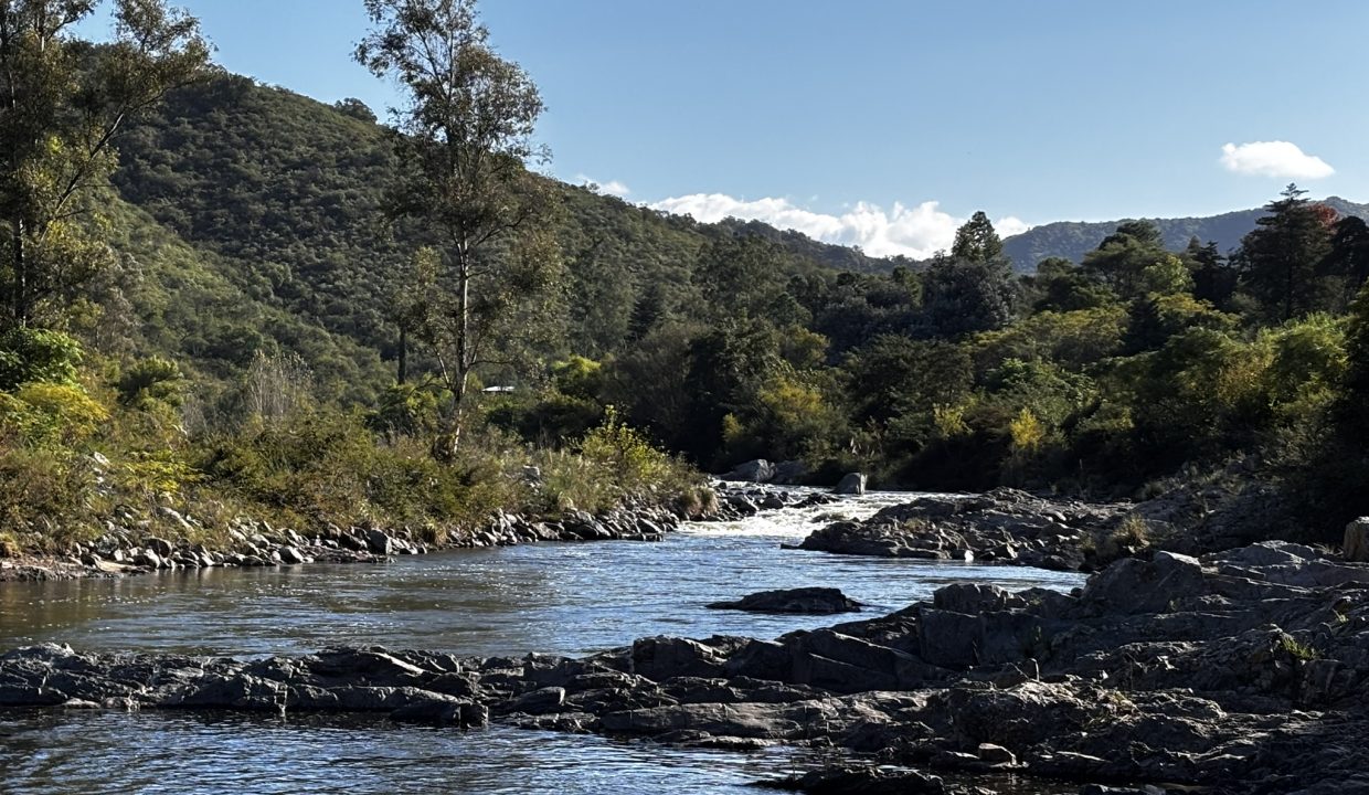 VENTA LA PAISANITA (55)