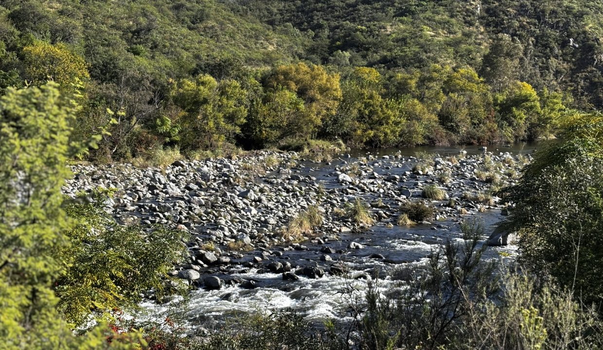 VENTA LA PAISANITA (57)