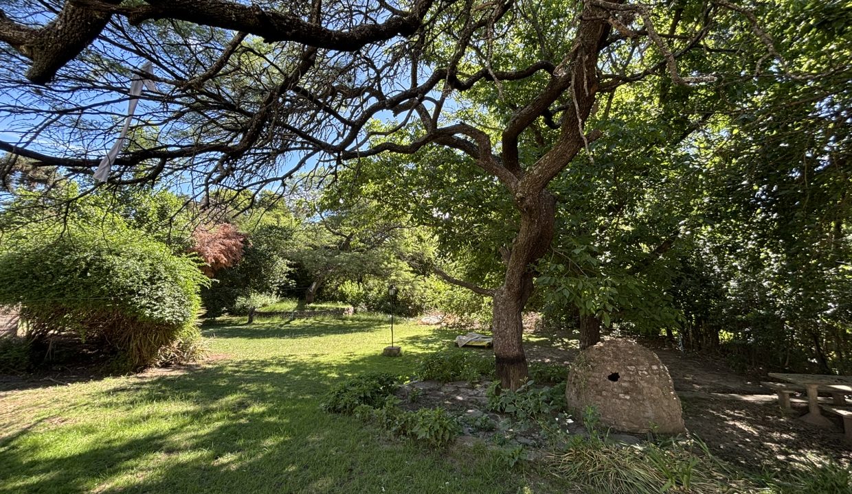 VENTA LA BOLSA CALLE SAN JUAN (19)