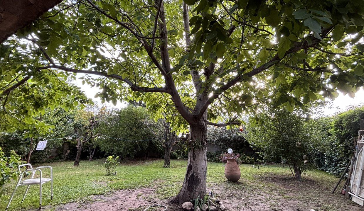 VENTA ALTA GRACIA CALLE LINCOLN (15)