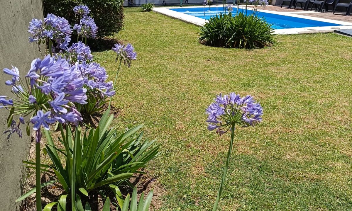 VENTA CALLE URUGUAY BARRIO NORTE ALTA GRACIA (7)