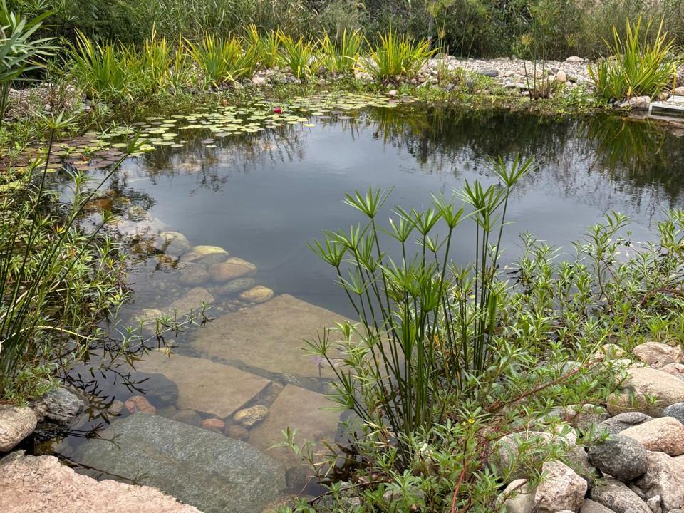 VENTA CASA ECOLÓGICA VA LOS AROMOS (33)