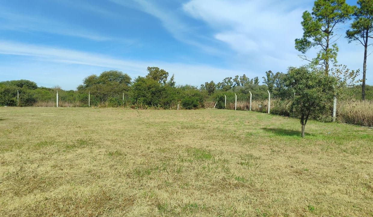 LOTES EN VENTA PORTALES DEL TALA ALTA GRACIA (1)