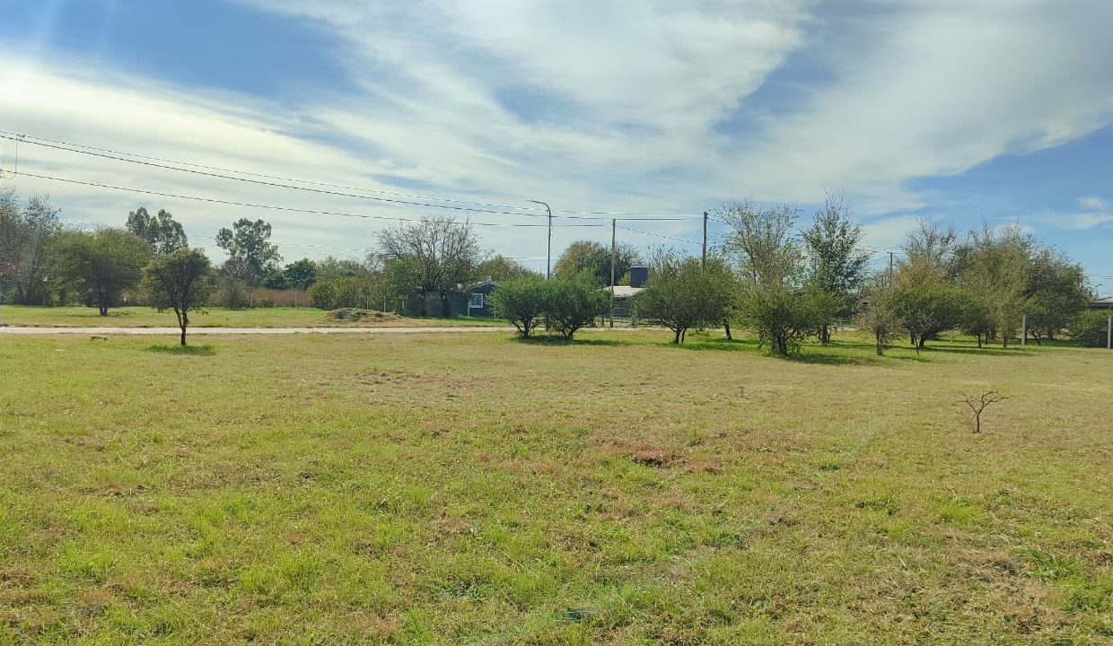 LOTES EN VENTA PORTALES DEL TALA ALTA GRACIA (11)
