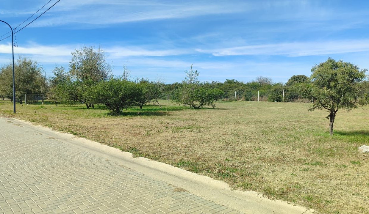 LOTES EN VENTA PORTALES DEL TALA ALTA GRACIA (13)