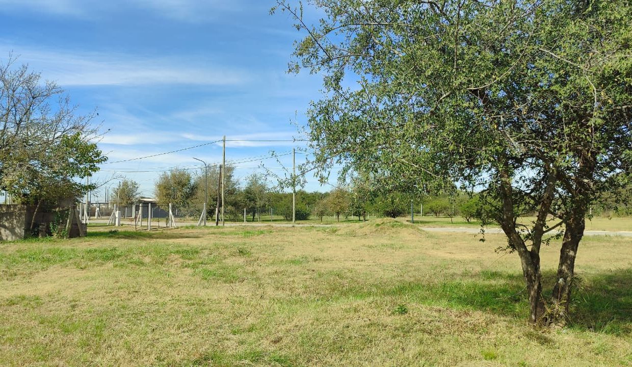LOTES EN VENTA PORTALES DEL TALA ALTA GRACIA (17)