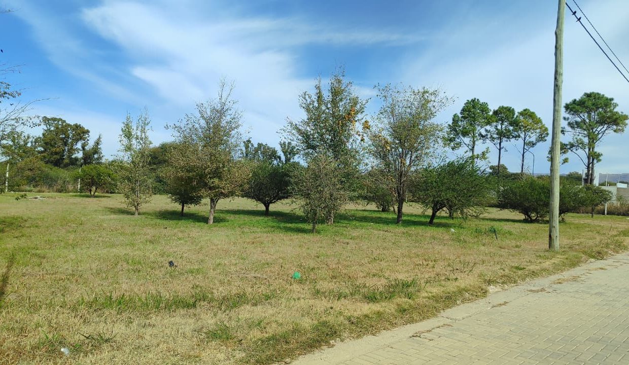 LOTES EN VENTA PORTALES DEL TALA ALTA GRACIA (5)
