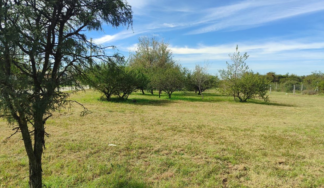 LOTES EN VENTA PORTALES DEL TALA ALTA GRACIA (9)