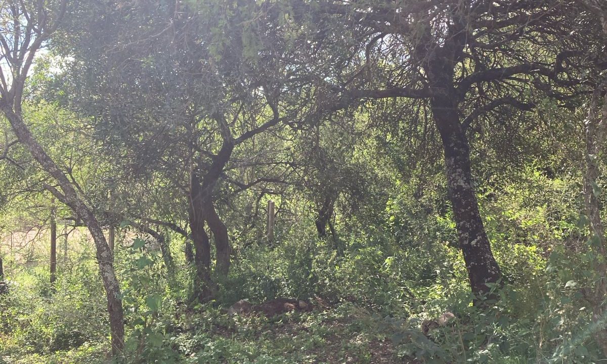 MONOAMBIENTE EN JOSE DE LA QUINTANA (1)
