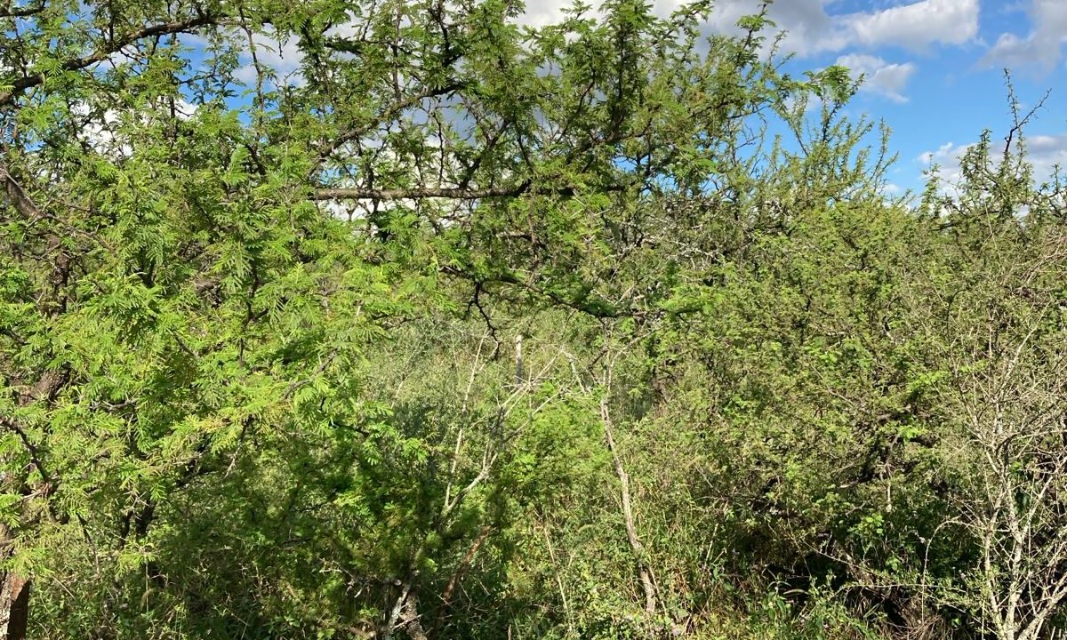 MONOAMBIENTE EN JOSE DE LA QUINTANA (6)