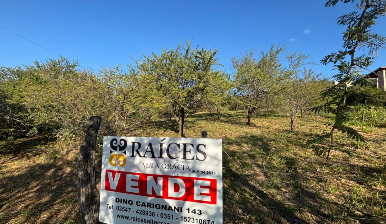 VENTA LOTE EN VILLA LA BOLSA A 100 MT RÍO ANISACATE (11)