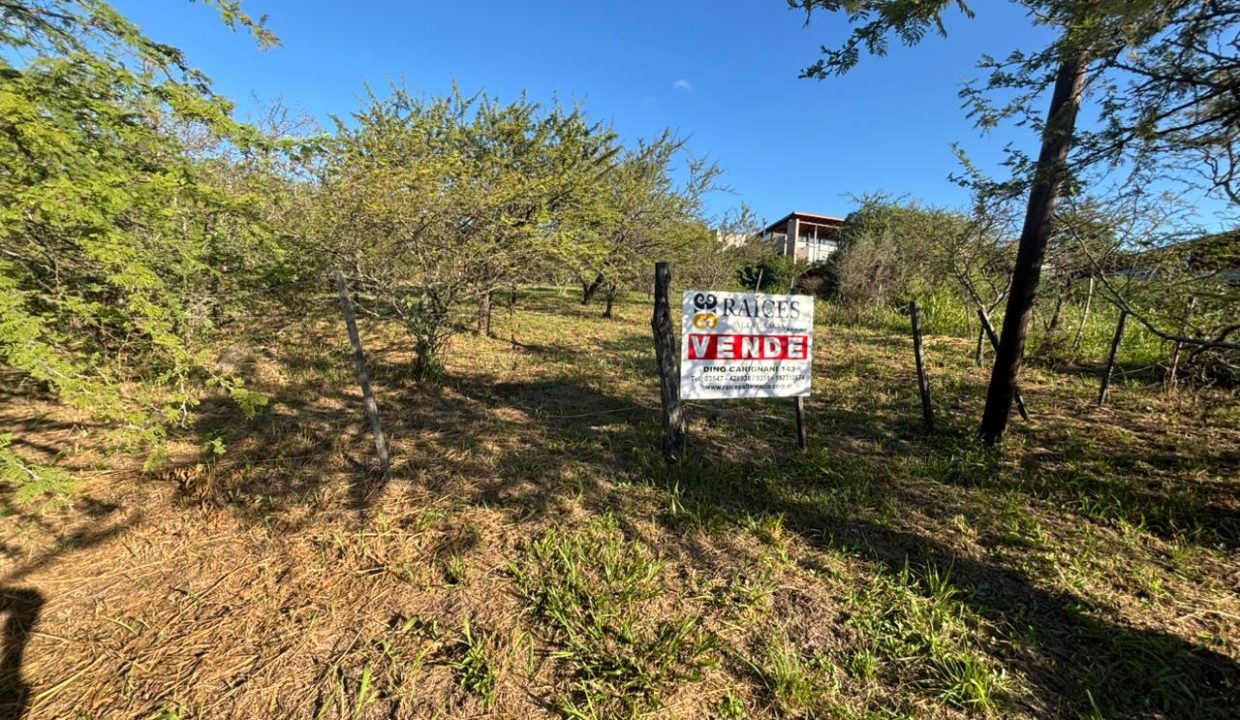 VENTA LOTE EN VILLA LA BOLSA A 100 MT RÍO ANISACATE (13)