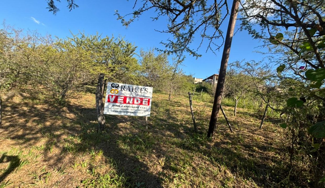VENTA LOTE EN VILLA LA BOLSA A 100 MT RÍO ANISACATE (14)