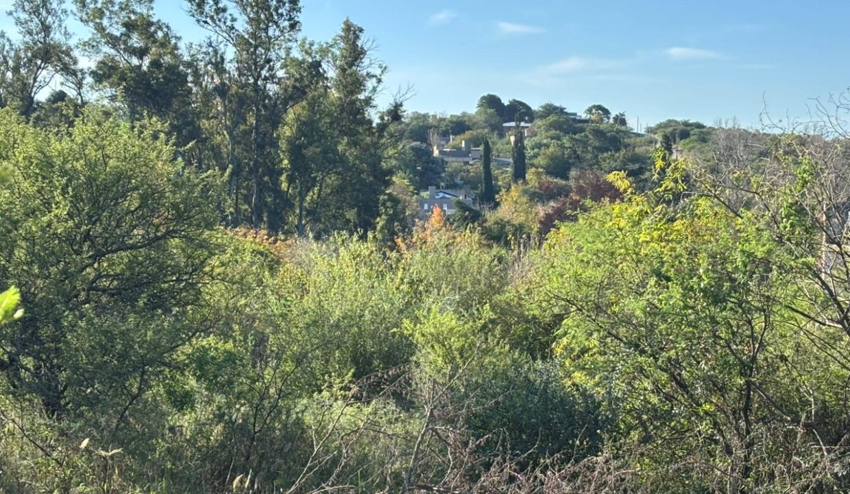 VENTA LOTE EN VILLA LA BOLSA A 100 MT RÍO ANISACATE (16)
