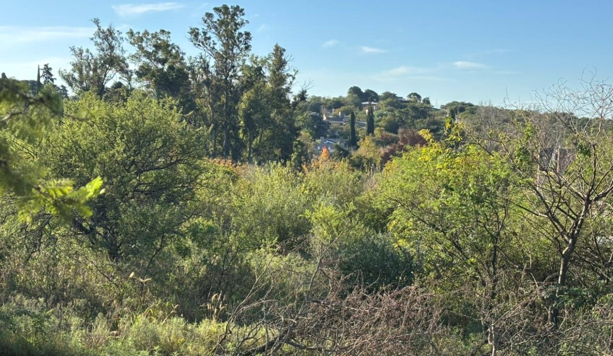 VENTA LOTE EN VILLA LA BOLSA A 100 MT RÍO ANISACATE (17)