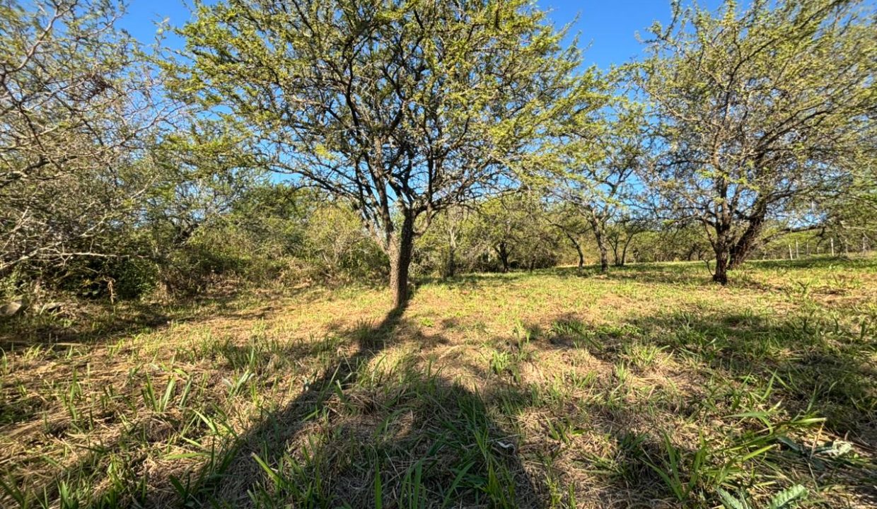 VENTA LOTE EN VILLA LA BOLSA A 100 MT RÍO ANISACATE (9)